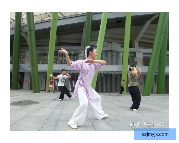 以太极拳对决现代拳击传统内功与竞技实战的全面较量思考与争议